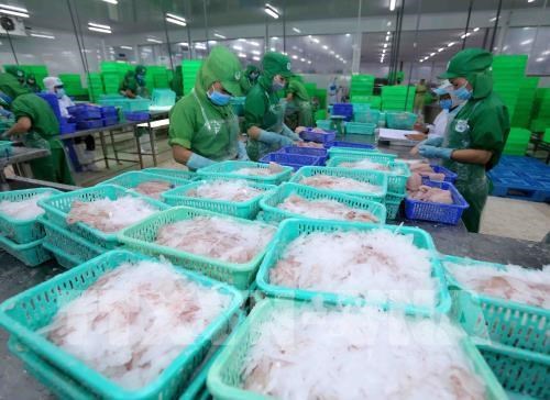 US remains largest importer of Vietnam in seven months hinh anh 1