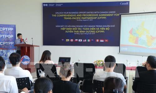 Da Nang seeks business cooperation opportunities with Canada hinh anh 1