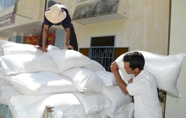 Government allocates rice for Dak Nong province hinh anh 1