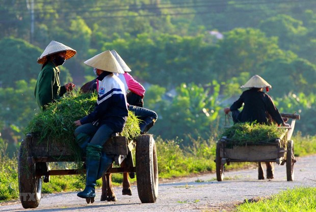 Soc Trang has 33 new-style rural communes hinh anh 1
