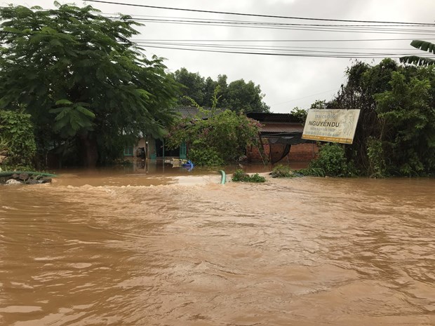 Floods take heavy toll on Central Highlands hinh anh 1