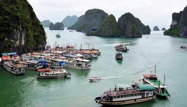 Ha Long Bay among world’s most beautiful places: British magazine hinh anh 1