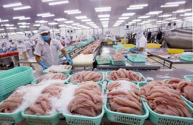 Seafood exports to China on the mend hinh anh 1