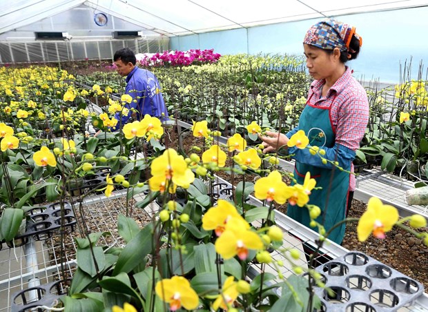 Over 84 percent of Hanoi’s communes gain new-style rural area status hinh anh 1