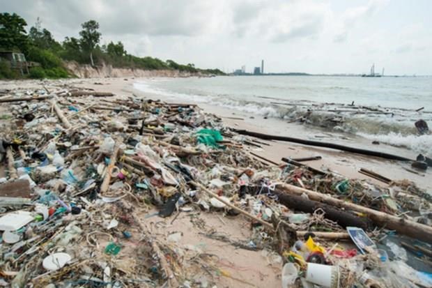 Thailand reduces use of 1.5 billion plastic bags over past year hinh anh 1