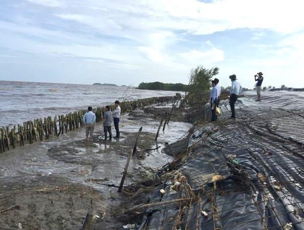 Ca Mau takes prompt actions against dyke erosion hinh anh 1