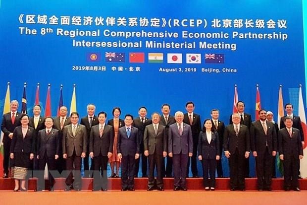 Asia-Pacific countries push ahead with RCEP negotiations hinh anh 1