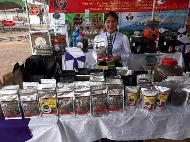 Cooperative turns Son La coffee into profitable business hinh anh 1