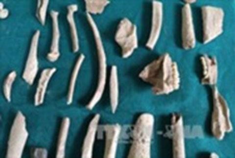 Many artefacts unearthed in Lang Son province hinh anh 1