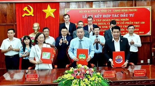 Over 73.2 mln USD to develop hi-tech agriculture projects in Binh Phuoc hinh anh 1