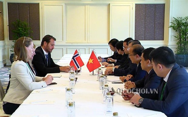 Vietnamese, Norwegian parliamentarians talk bilateral ties hinh anh 1