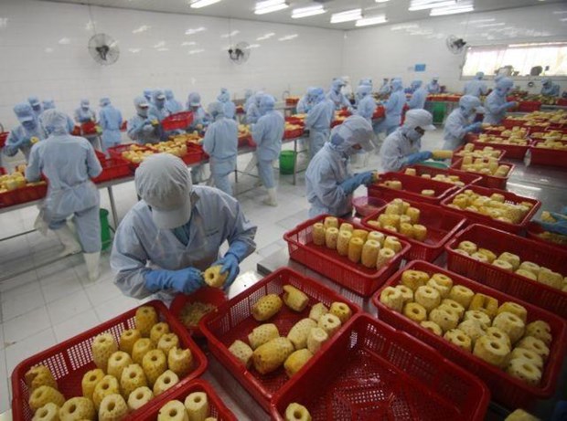 Forum mulls measures to boost farm produce export to RoK hinh anh 1