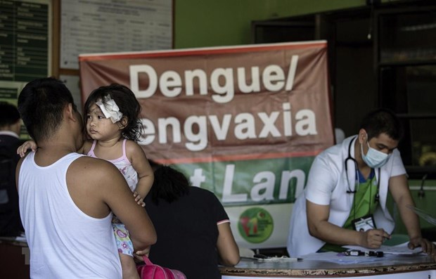 Philippines reports nearly 209,000 dengue cases, with 882 deaths hinh anh 1