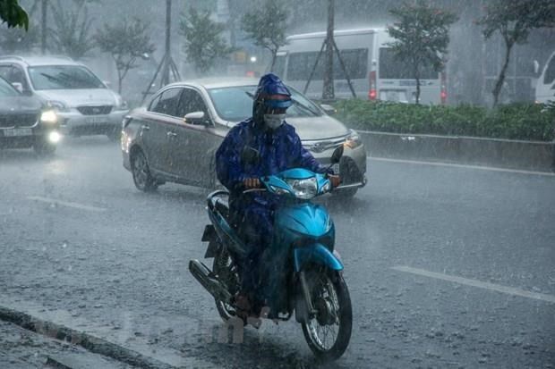 Localities told to stay alert to tropical depression hinh anh 1
