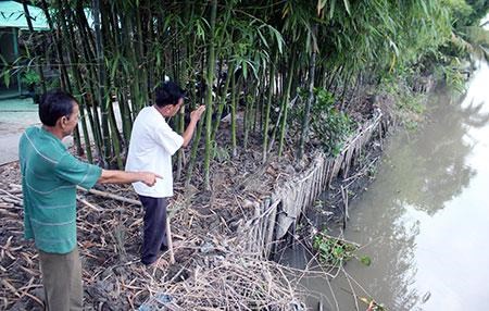 Hau Giang resorts to earthen embankments to prevent erosion along rivers hinh anh 1