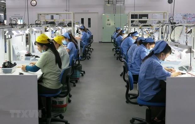 Int’l economists optimistic of Vietnam’s GDP growth hinh anh 1