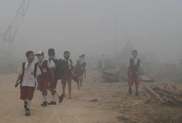 Many schools in Indonesia closed due to smoke from forest fires hinh anh 1