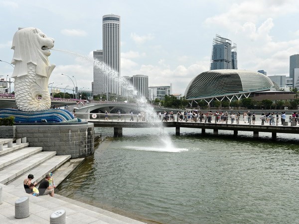 Singapore seeks digital trade agreements hinh anh 1