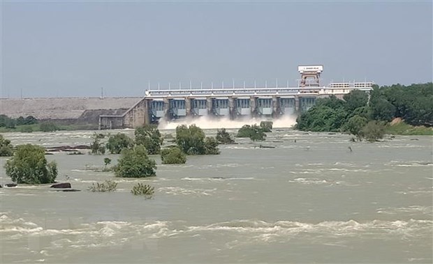 Dong Nai River water to reach top alert level hinh anh 1