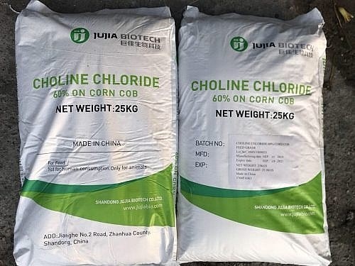 India initiates investigation on imports of choline chloride hinh anh 1