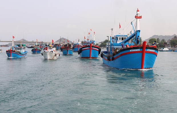 EC’s inspectors to check Vietnam’s IUU fishing combat hinh anh 1