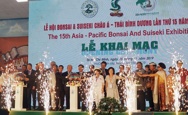 15th Asia-Pacific Bonsai & Suiseki Exhibition opens in HCM City hinh anh 1