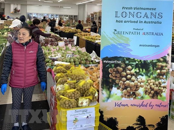 Long journey of Vietnamese fruits to Australia hinh anh 1