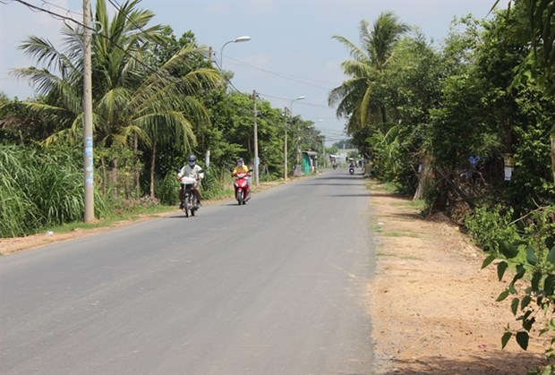 New-style rural area programme improves incomes in HCM City hinh anh 1