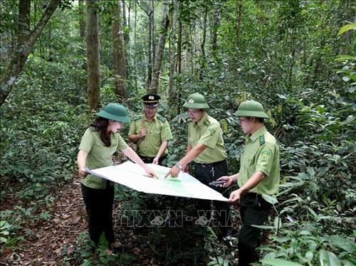 Vietnam to boost tourism development in protective forests hinh anh 1