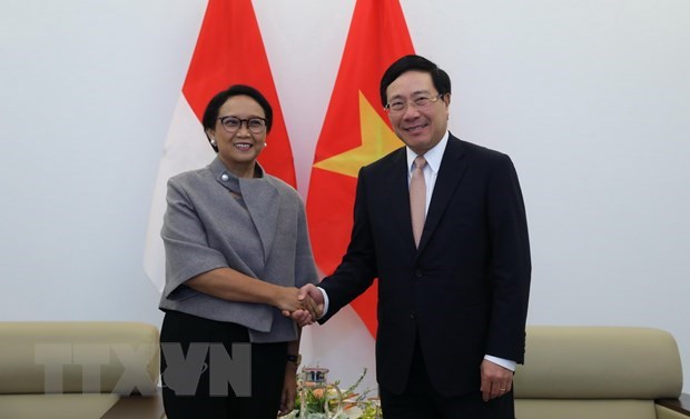 Vietnam, Indonesia fortify bilateral cooperation hinh anh 1