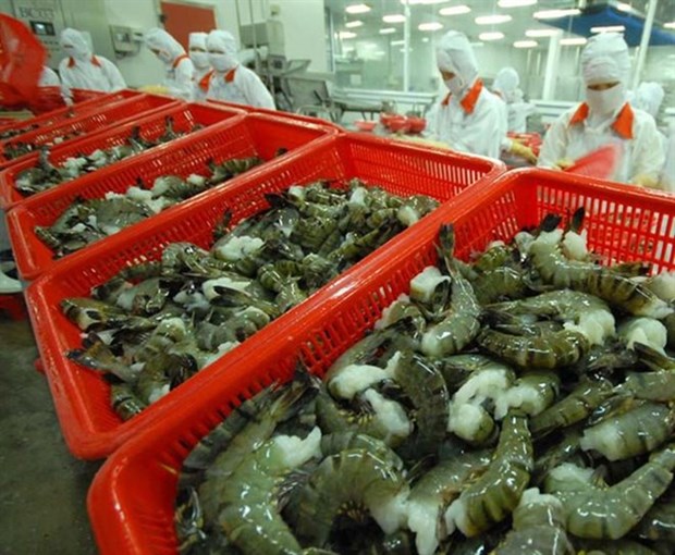 Vietnam to promote shrimp exports to EU next year hinh anh 1