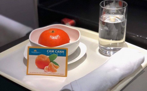 Vietnam Airlines serves passengers Canh oranges hinh anh 1