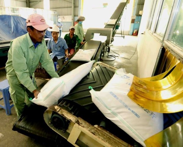 Nearly 190 rice traders certified as eligible for rice exports hinh anh 1
