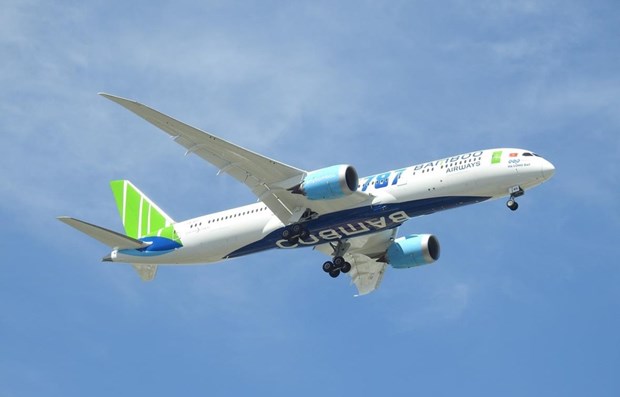 Bamboo Airways earns over 300 billion VND in 2019 profit hinh anh 1