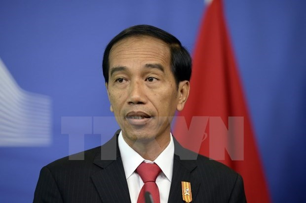 Indonesia to focus on promoting economic diplomacy hinh anh 1