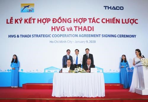Thadi, HVG set up joint venture to raise 1.2 million pigs per year hinh anh 1