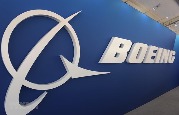 Malaysia Airlines suspends taking delivery of Boeing 737 MAX hinh anh 1