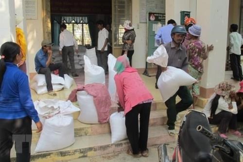Over 1,200 tonnes of rice from national reserve allocated to Nghe An hinh anh 1