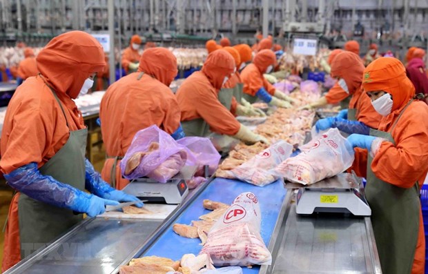 Vietnam, Japan promote investment to develop food chains hinh anh 1