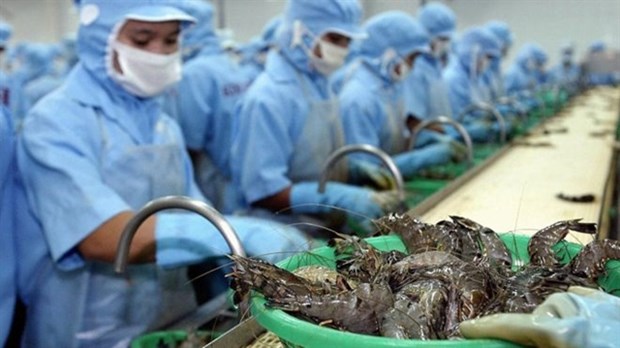 Shrimp exports to Australia rise strongly in 2019 hinh anh 1
