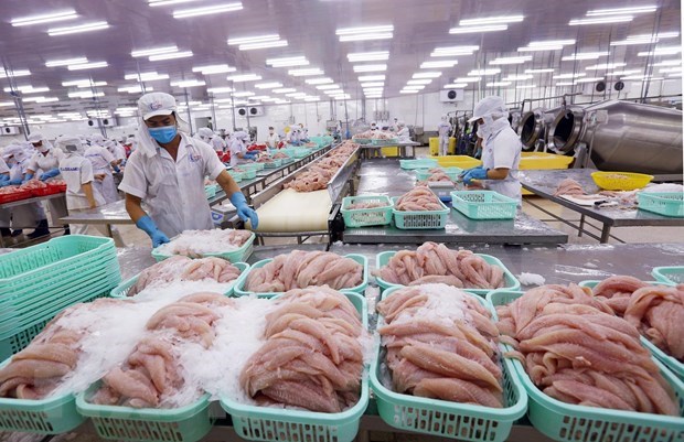 Vietnam aims for 9 bln USD worth of fishery exports in 2020 hinh anh 1