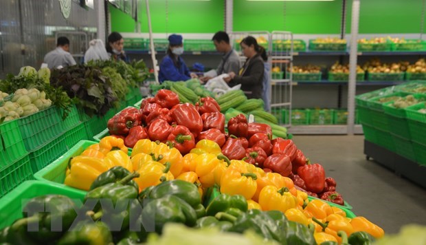Vietnam targets 5 billion USD from fruit, vegetable exports in 2020 hinh anh 1