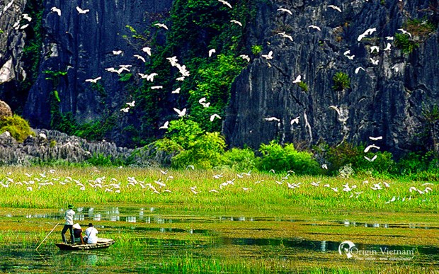 Exploring Van Long Wetland Nature Reserve in Ninh Binh hinh anh 1