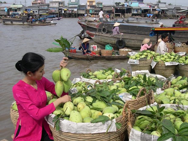 An Giang province promotes agro-fishery exports hinh anh 1
