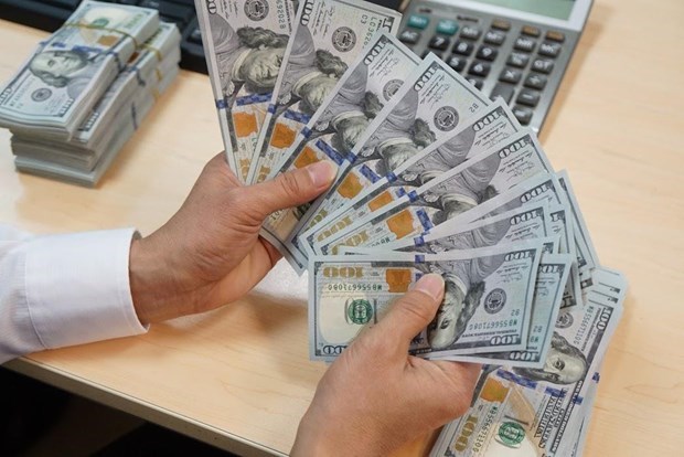 Reference exchange rate up 15 VND on January 30 hinh anh 1