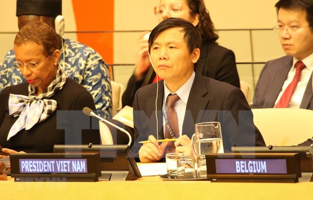 Vietnam successfully fulfils role as President of UNSC in January hinh anh 1
