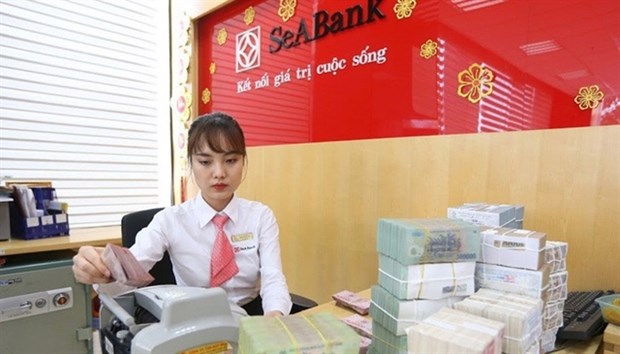 Twelve banks clear all bad debts at VAMC hinh anh 1