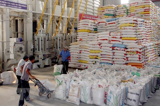 Rice exports to Philippines in 2019 surge hinh anh 1