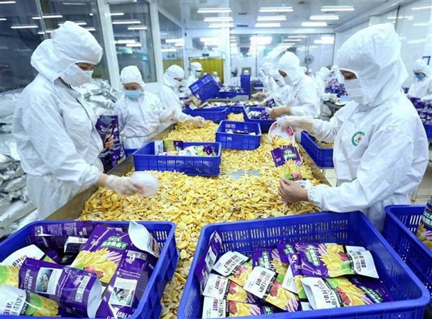 Vietnam’s trade with China hits 8.29 billion USD in January hinh anh 1