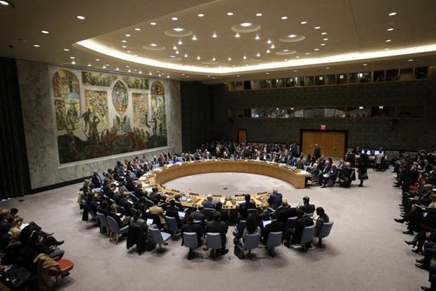 UNSC discusses Israel-Palestine situation hinh anh 1